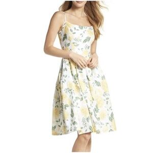 Gal Meets Glam Abigail painted Aster floral linen blend dress ecru maize rare